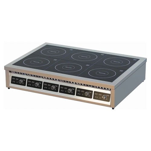 Плита индукционная ЦМИ ПИ-6Н(2х5)