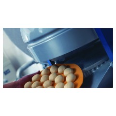 Тестоделитель-округлитель DAUB DR 4/36 (фиксированный разделительный диск)