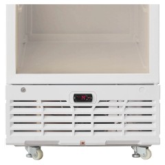 Шкаф холодильный фармацевтический Бирюса 450S-R (6R)