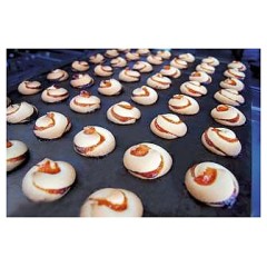 Отсадочная машина DITO Group TRIOMIX 600