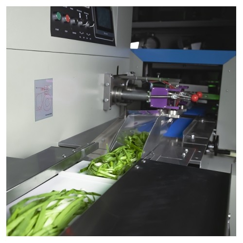 Машина упаковочная Hualian DXDZ-450XD (лент. 200 мм, рег. форм., S 400, L 130-450, H 80)