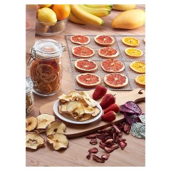 Сушилка для овощей и фруктов Kocateq DHFD16