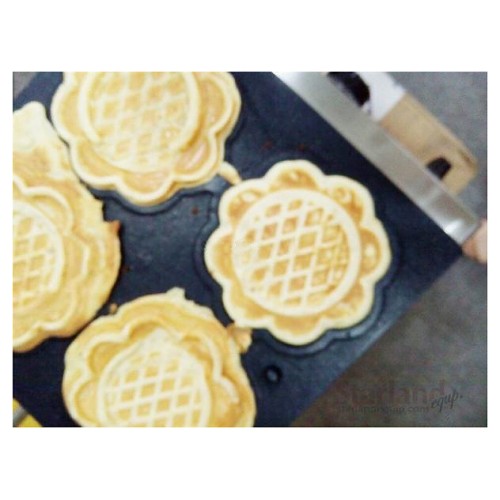 Вафельница Airhot WBSF-4 SUNFLOWER