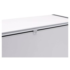 Ларь морозильный Liebherr EFL 6055