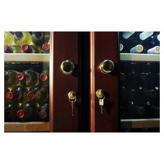 Винный шкаф IP Industrie CEX 2151 VU