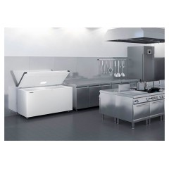 Ларь морозильный Liebherr EFL 4655