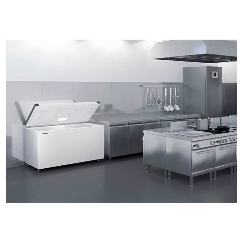 Ларь морозильный Liebherr EFL 4655