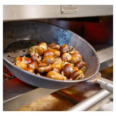 Гриль барбекю WE GRILL & MORE WGIM++_E