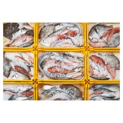 ЛЬДОГЕНЕРАТОР BREMA ЧЕШУЯ MUSTER 1500W