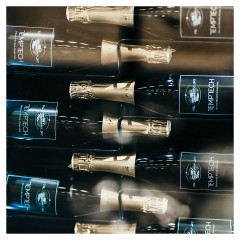 Винный шкаф Temptech Copenhagen CPROX60SRB-24