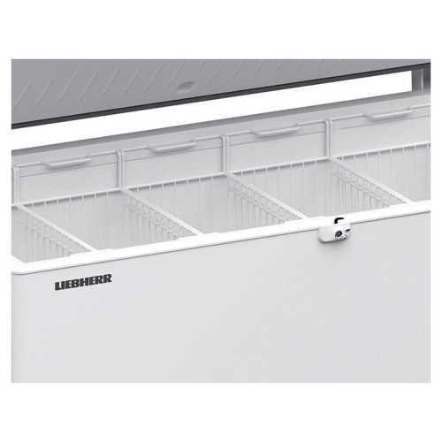 Ларь морозильный Liebherr EFL 6055