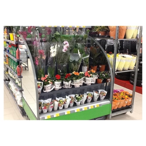 Горка холодильная Lida Stella Flora maxi (1200х1200х2000 мм)