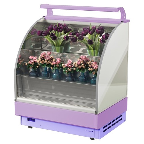 Горка холодильная Lida Stella Flora mini (1000х970х1800 мм)