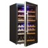 Винный шкаф Cold Vine C66-KBF2