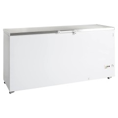 Ларь морозильный TEFCOLD FR605 SL/R600