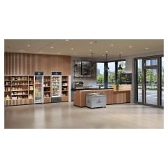 Шкаф холодильный Liebherr FKDv 4513 Premium серый