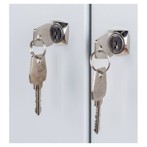 Шкаф для одежды ПАКС ШРМ-АК-500