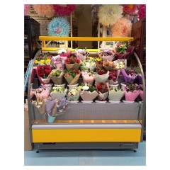 Горка холодильная Lida Stella Flora mini (1000х970х1800 мм)