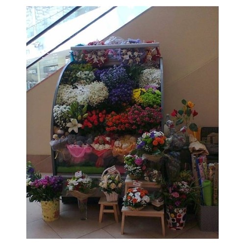 Горка холодильная Lida Stella Flora mini (1500х970х1800 мм)