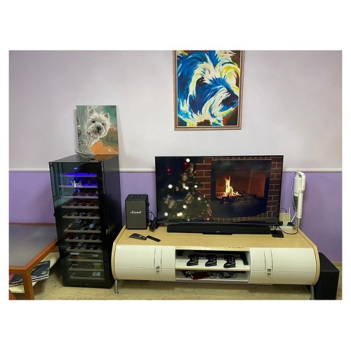 Винный шкаф Vinosafe VSF51AM