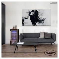 Винный шкаф Cold Vine C24-KBF2