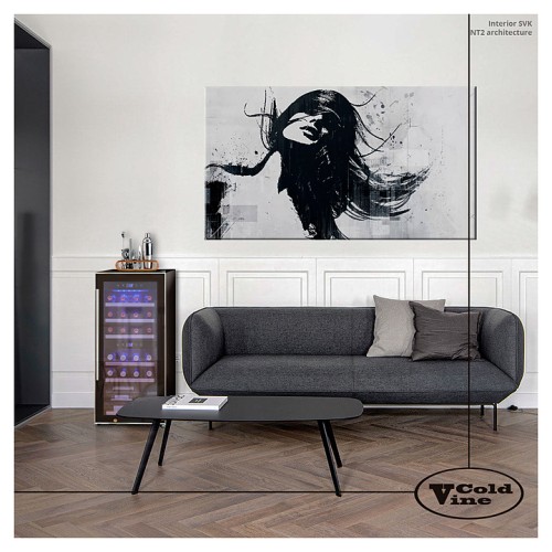 Винный шкаф Cold Vine C24-KBF2