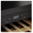 Шкаф винный Korting KFW 501 SL GN