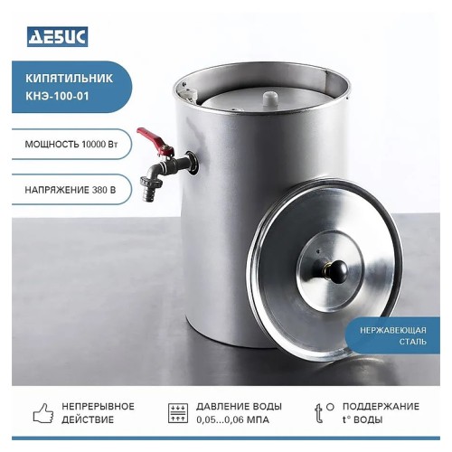 Кипятильник Дебис КНЭ-100-01 нерж. сталь
