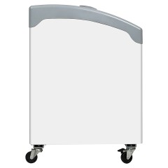 ЛАРЬ МОР.СО СТЕКЛ.КРЫШ.TEFCOLD NIC301SCEB