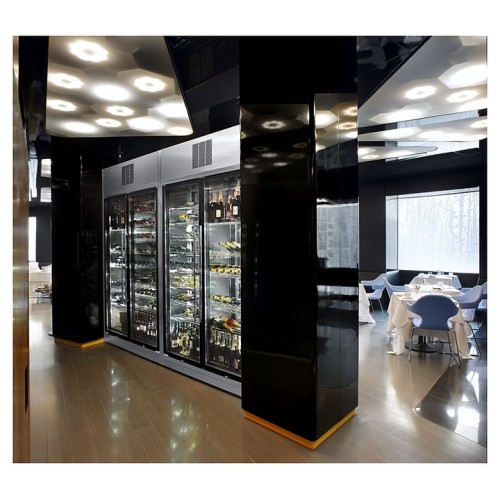 Винный шкаф Gemm WL6/222P