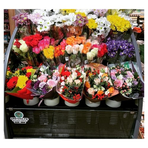 Горка холодильная Brandford Odissey Slim 125