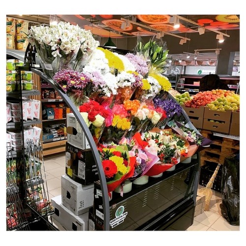 Горка холодильная Lida Stella Flora mini (1500х970х1800 мм)