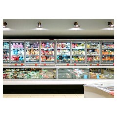 Шкаф-бонета морозильная Brandford Jason 250