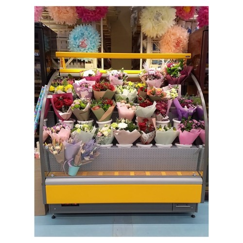 Горка холодильная Lida Stella Flora mini (1200х970х1800 мм)