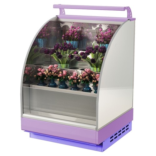 Горка холодильная Lida Stella Flora maxi (1000х1200х2000 мм)