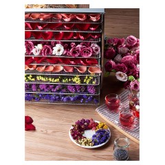 Сушилка для овощей и фруктов Kocateq DHFD10