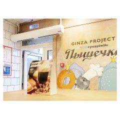 Воздушная завеса Тепломаш Оптима Микро КЭВ-2П1122Е (окраш. сталь)