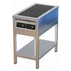 Плита индукционная ЦМИ ПИ-2 (460х850х870 мм)