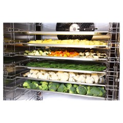 Шкаф шоковой заморозки Abat ШОК-10-1/1AEF