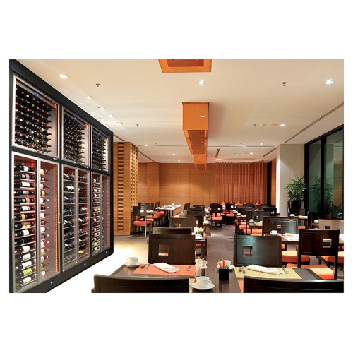 Винный модуль Expo PM-VAR12