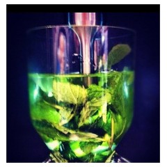 Гомогенизатор ультразвуковой PolyScience UH30AC2E