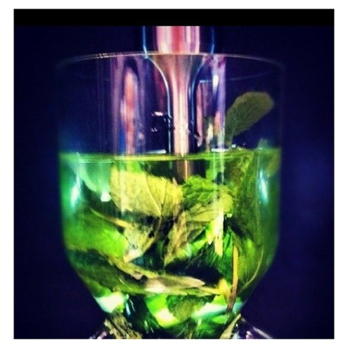 Гомогенизатор ультразвуковой PolyScience UH30AC2E