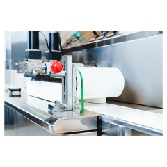 Машина формовочная Danler GS-3000