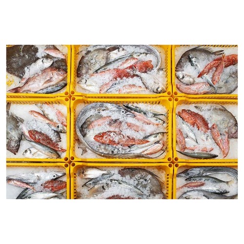 Льдогенератор Brema Muster 800 Split