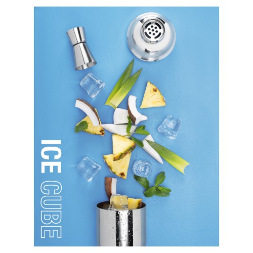 ЛЬДОГЕНЕРАТОР BREMA КУБИК CB 249W HC