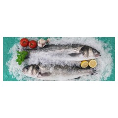 Льдогенератор Brema G 510A