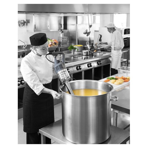 Миксер ручной Robot Coupe MP 450 V.V. Ultra LED