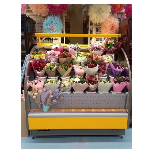 Горка холодильная Lida Stella Flora maxi (1500х1200х2000 мм)