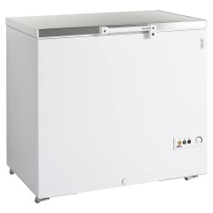 Ларь морозильный TEFCOLD FR305S SL