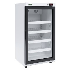 Шкаф холодильный фармацевтический Марихолодмаш Капри МЕД 100